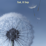 Screenshot_2012-09-08-13-05-00