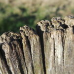 20121103_133925