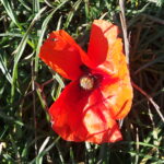 20121103_143110