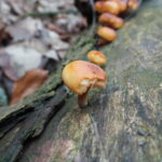 20121229_125602