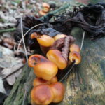 20121229_125607