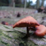 20121229_125617