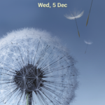 Screenshot_2012-12-05-12-33-53