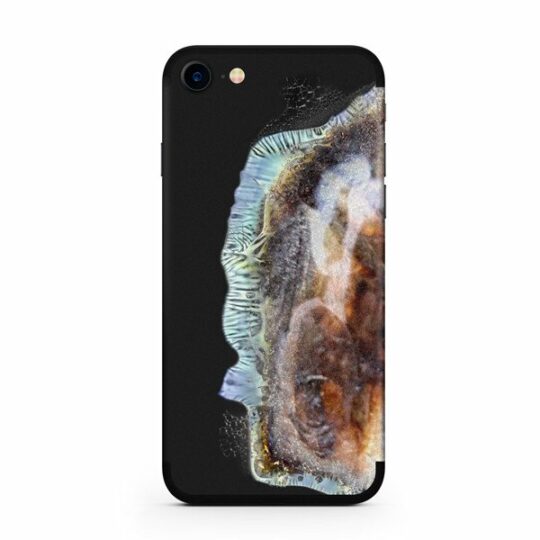 iphone-note-7-skin-1