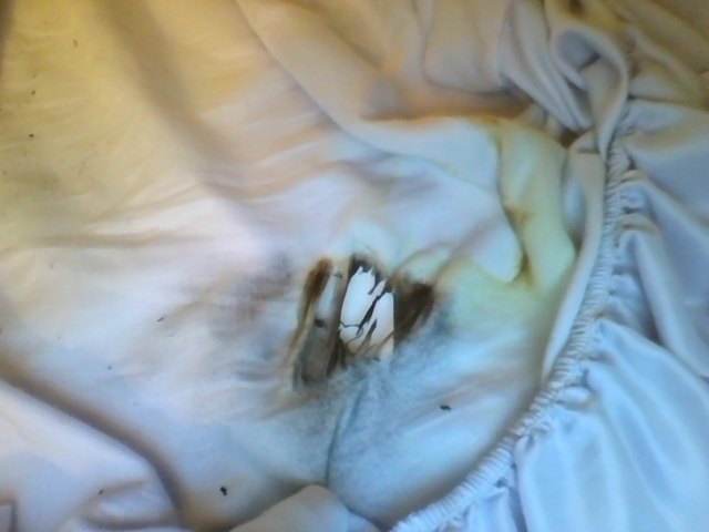 Sprint Galaxy S6 edge+ - Fire -2