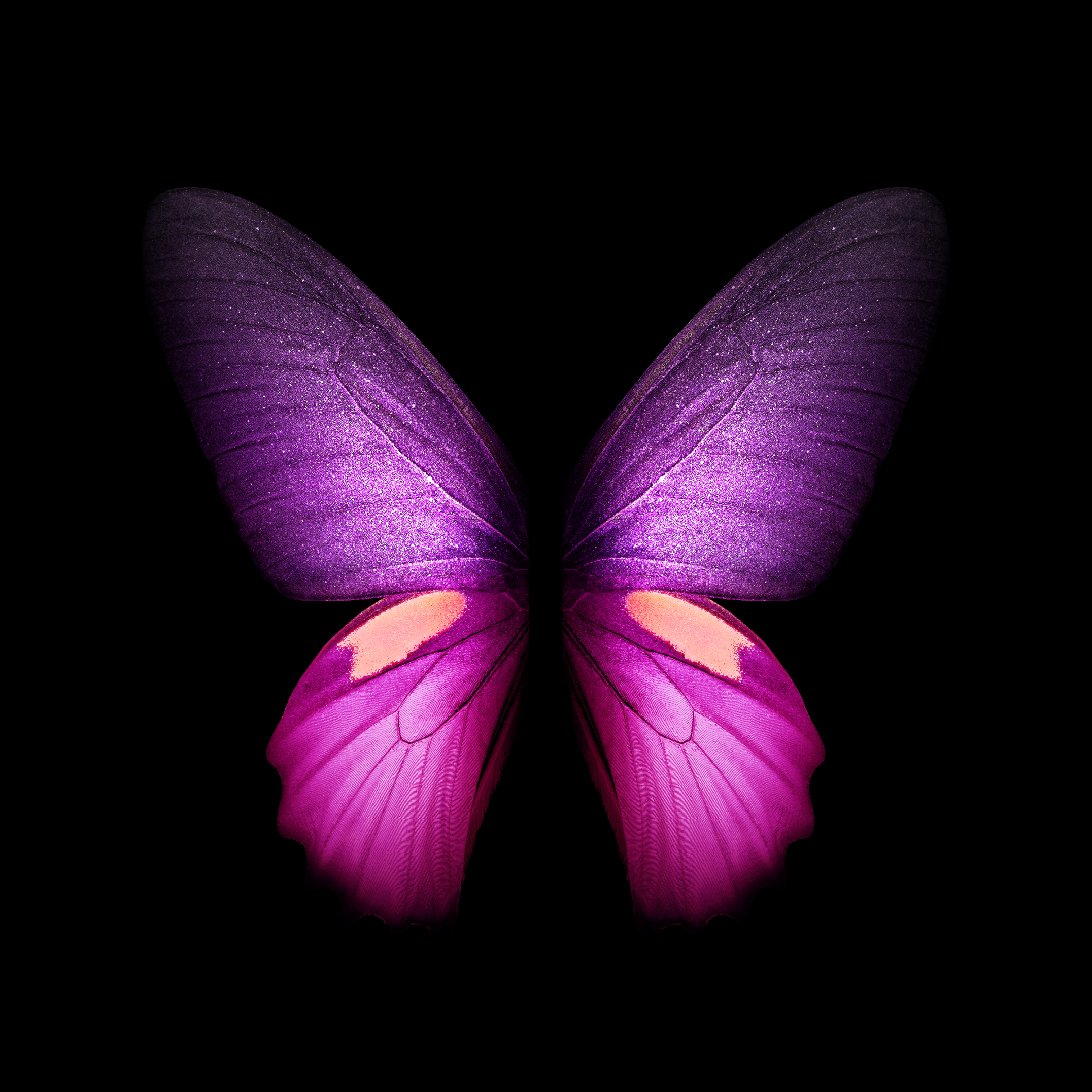 Download Samsung  Galaxy Fold  wallpaper  SamMobile