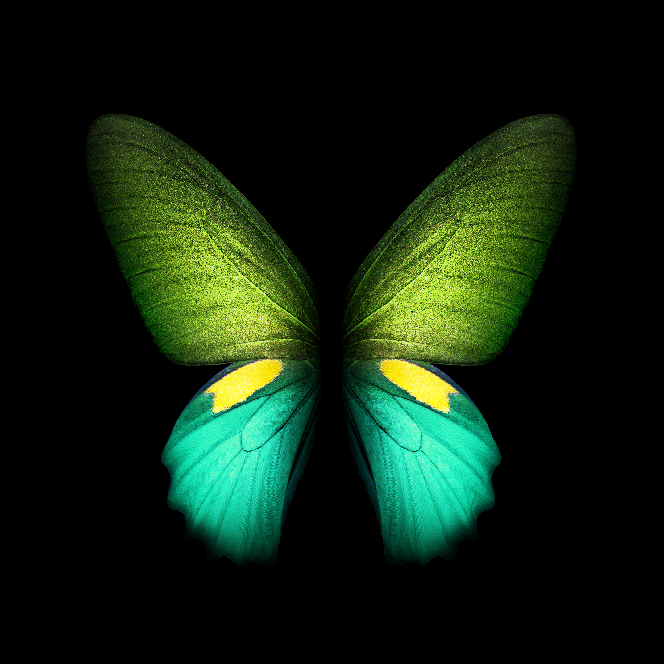 Download Samsung Galaxy Fold wallpaper - SamMobile