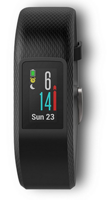  Garmin vívosport