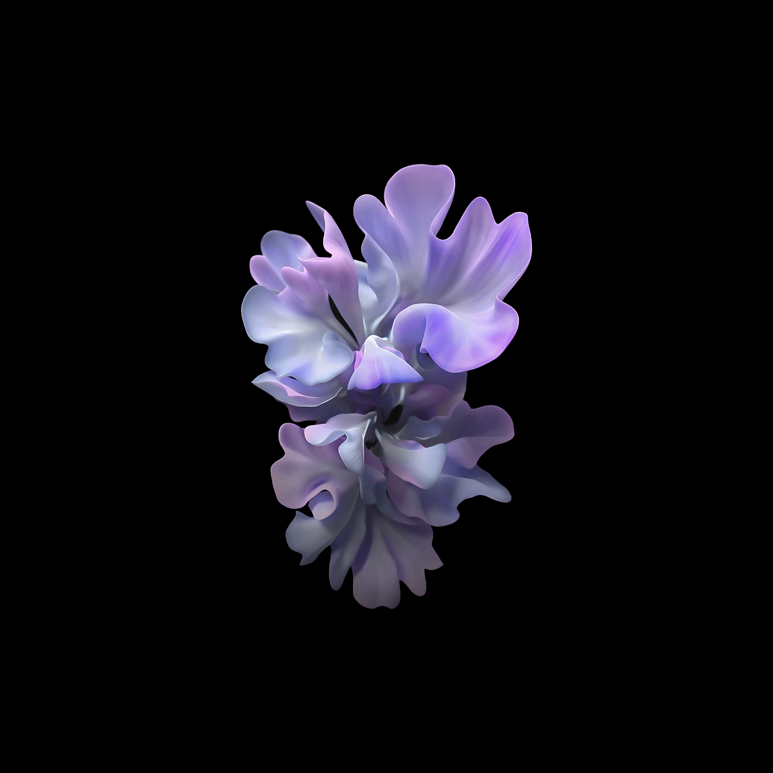 Download Galaxy Z Flip wallpapers and see your home screen 'bloom' -  SamMobile