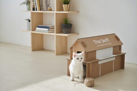 Samsung The Serif QLED TV Eco-Friendly Packaging Cat Home