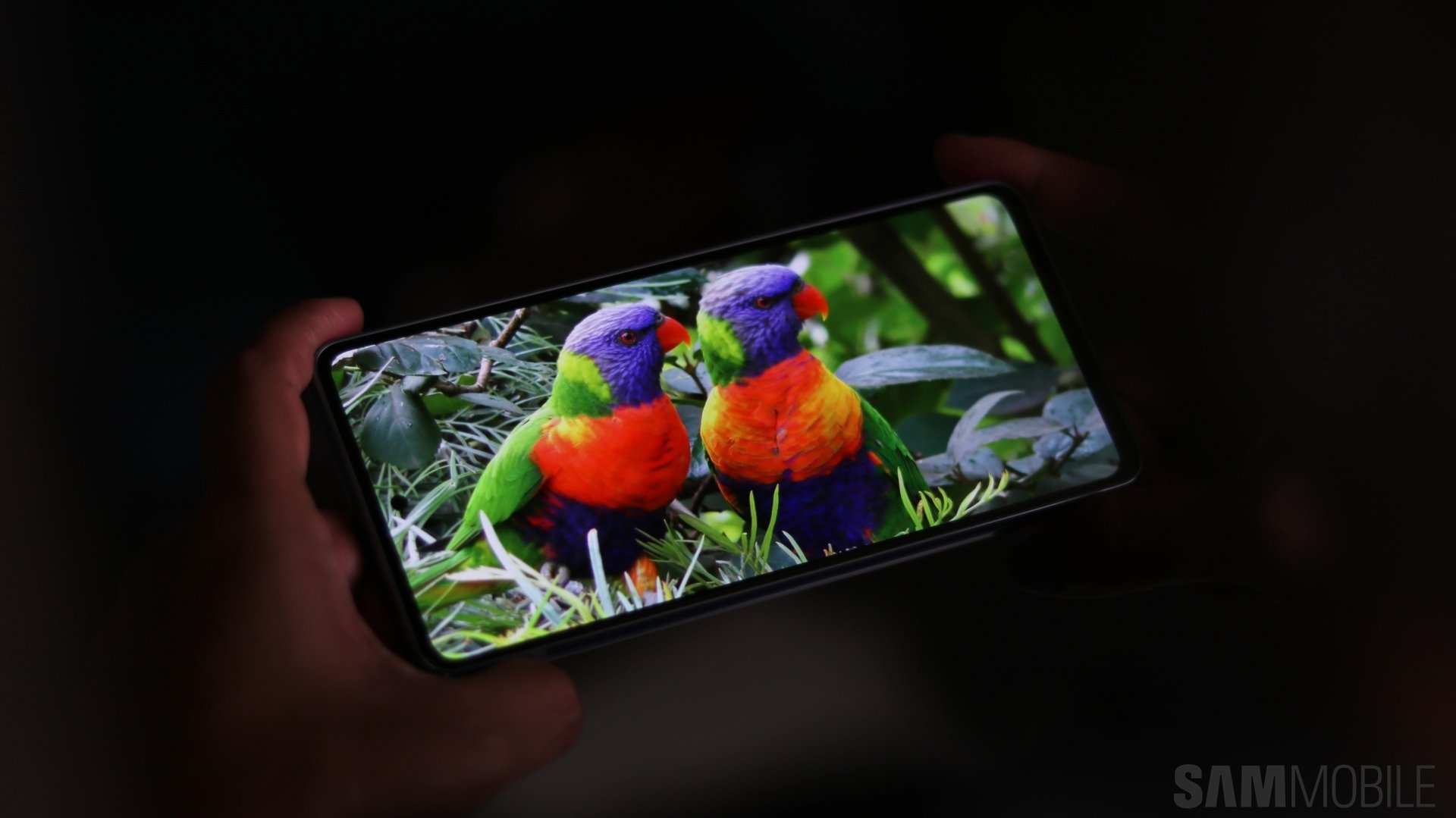 Samsung Galaxy A53 recibe actualización de seguridad de junio de 2023 en EE. UU.