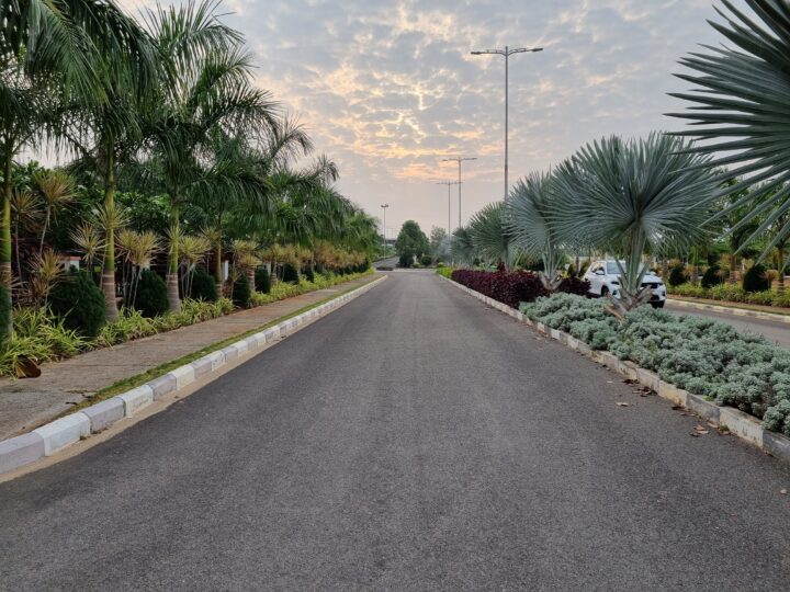 Samsung Galaxy S21+ Camera Sample Primary Daylight HDR