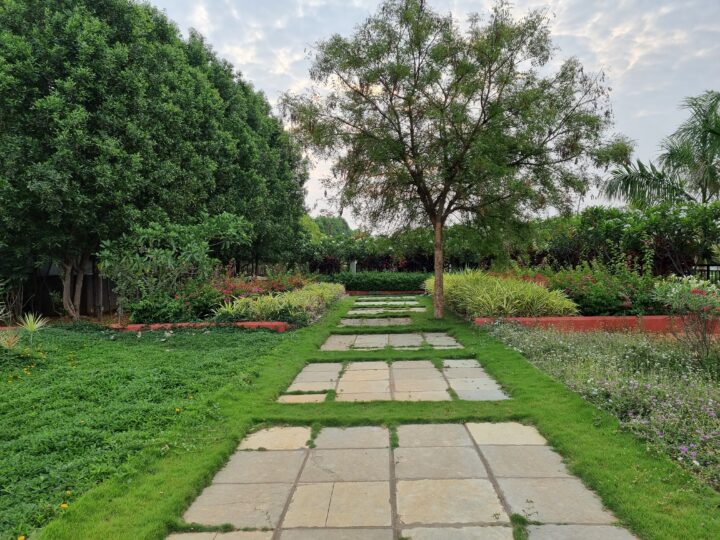 Samsung Galaxy S21+ Camera Sample Primary Daylight HDR