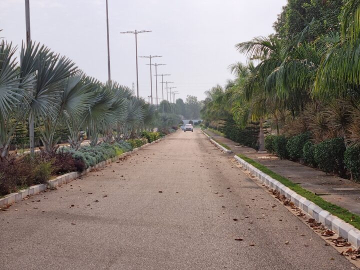 Samsung Galaxy S21+ Camera Sample 3x Zoom