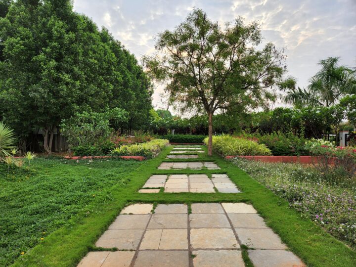 Samsung Galaxy S22+ Camera Sample Primary Daylight HDR