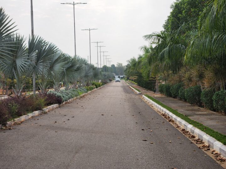 Samsung Galaxy S22+ Camera Sample 3x Zoom