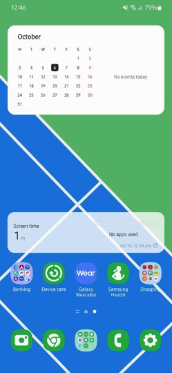 Samsung Health Themed Icon Android 13 Green
