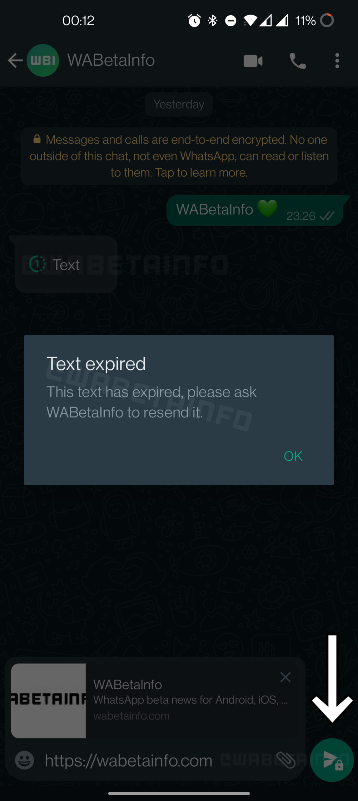 WhatsApp View-Once Text Message Feature