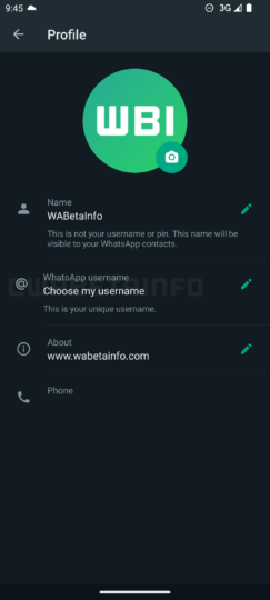 WhatsApp Usernames