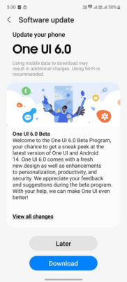 Samsung Galaxy A53 One UI 6.0 Beta 1 Update Changelog