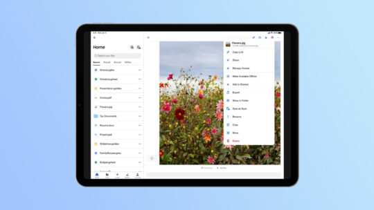 Dropbox user interface for foldable tablet
