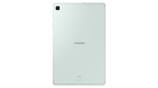 Samsung Galaxy Tab S6 Lite 2024 Back Mint