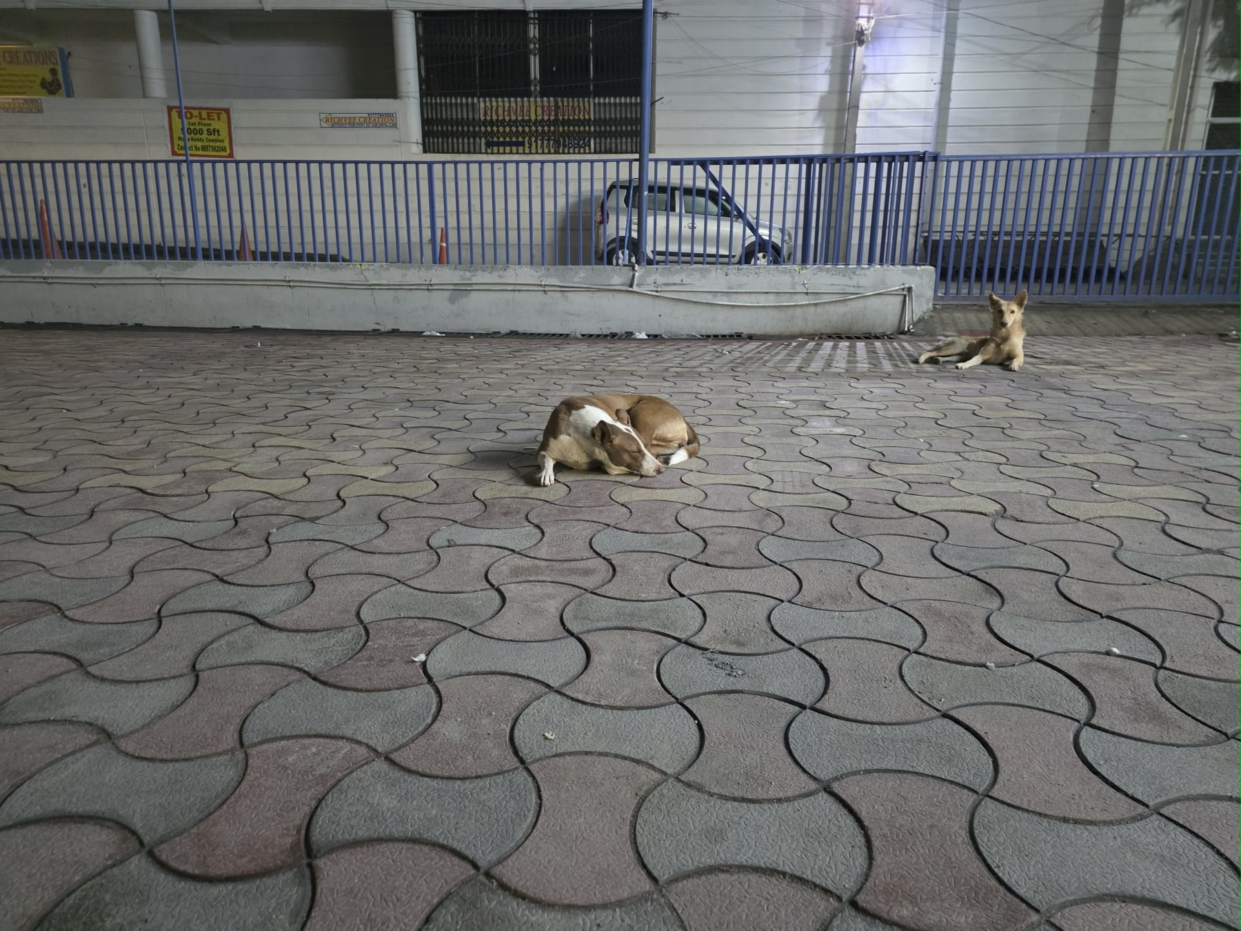 fold 7 main camera pic 8