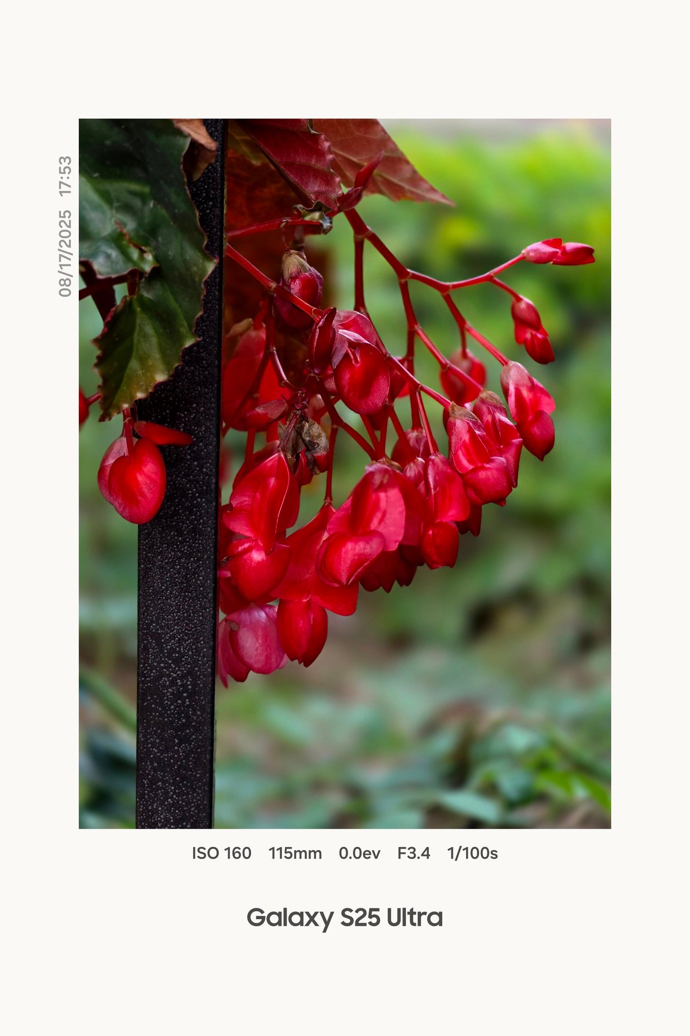 samsung galaxy s25 ultra one ui 8.5 camera watermark style 1