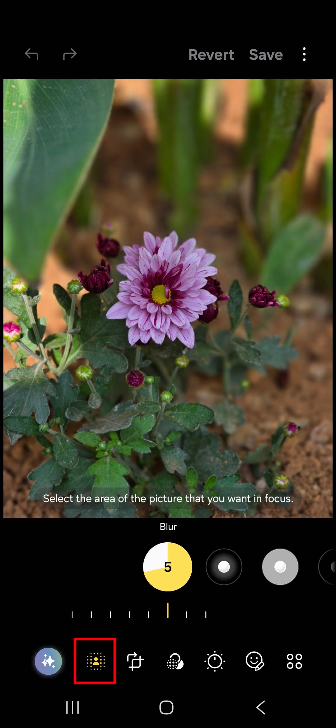 screenshot_20260130_204351_photo editor