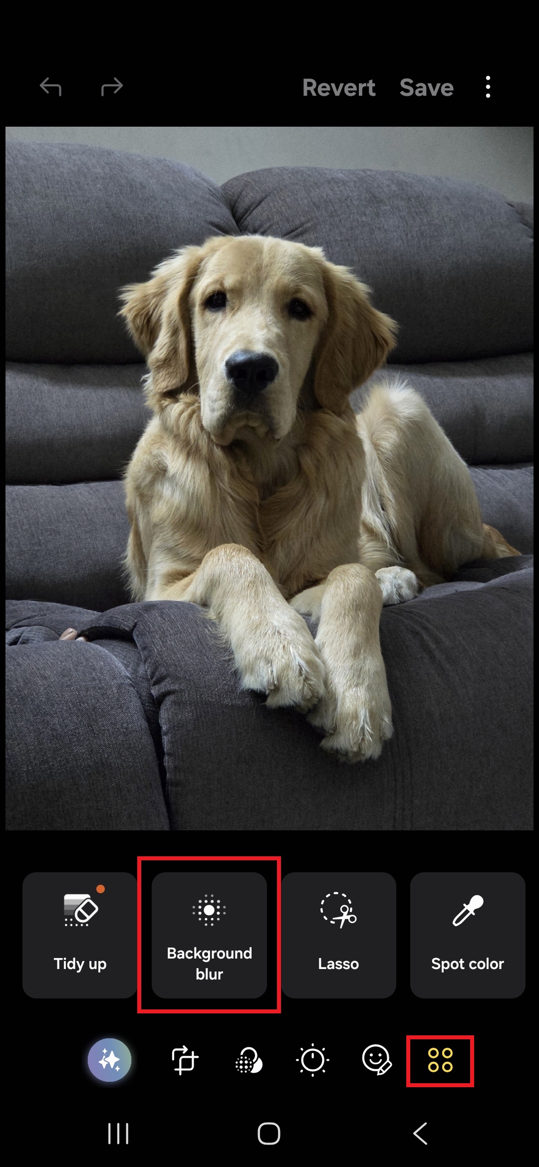 screenshot_20260131_020752_photo editor