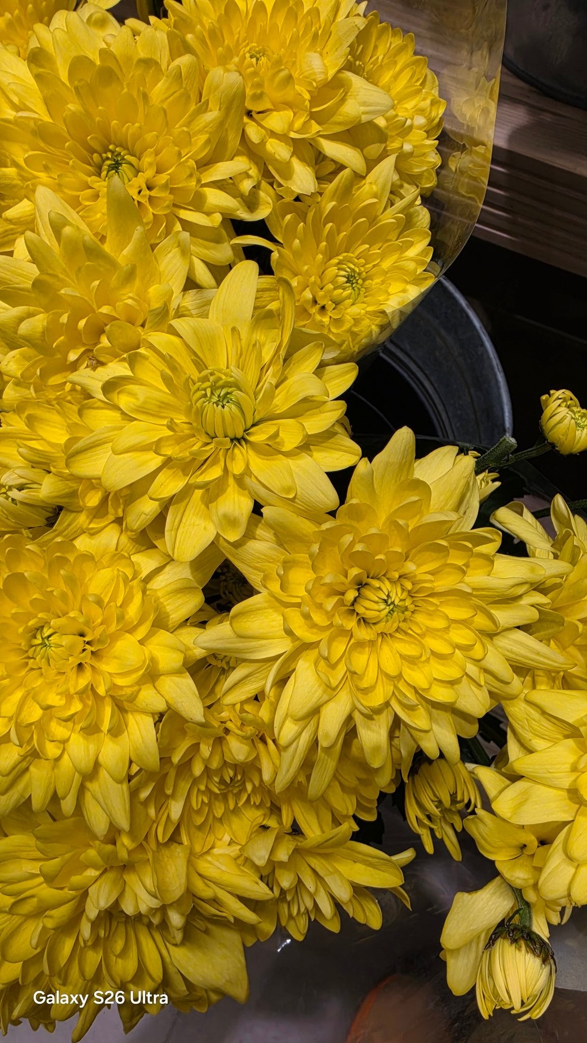 samsung galaxy s26 ultra rear camera sample (02)