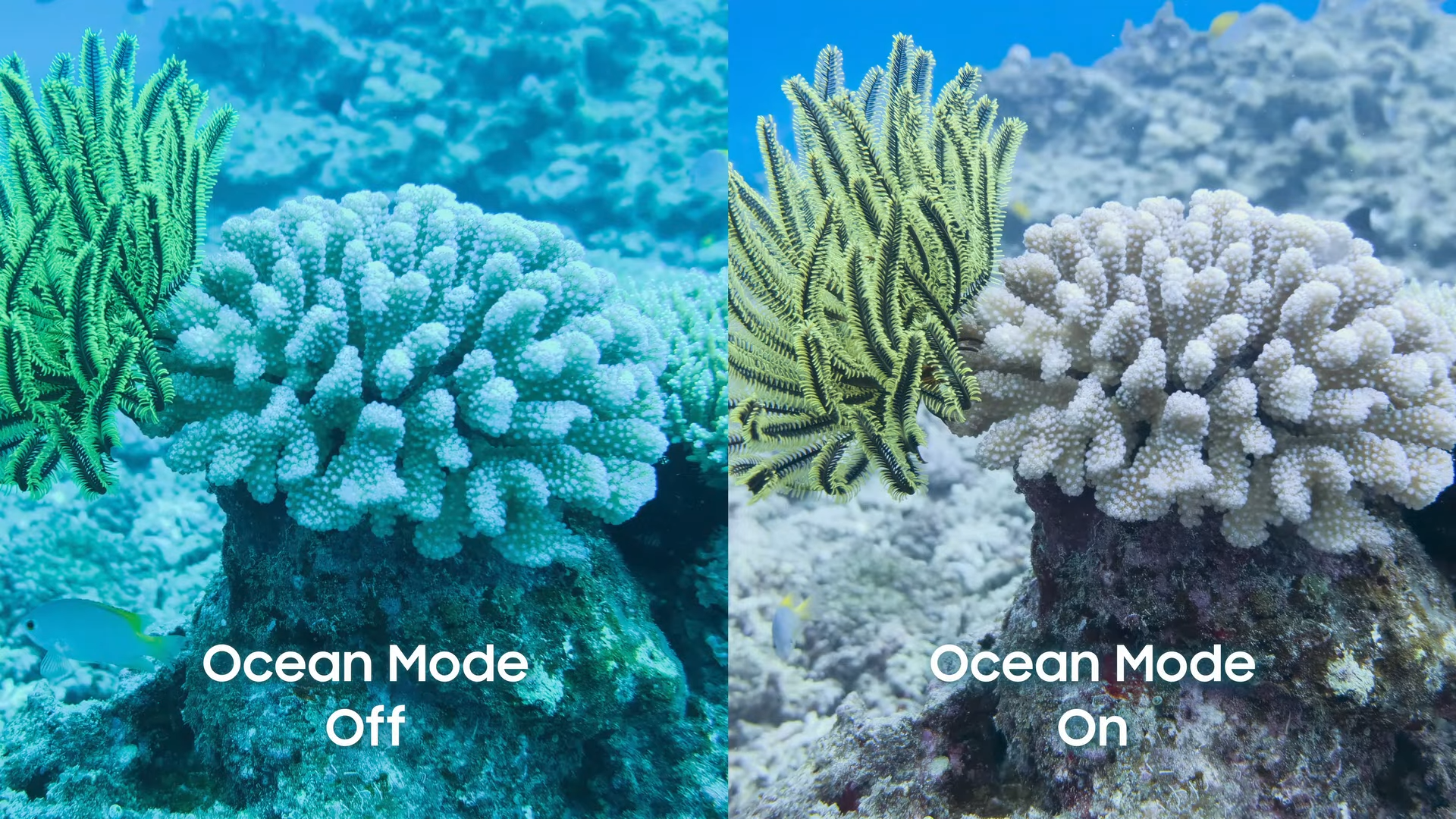 galaxy-s26-ultra-ocean-mode-unpacked-2026-1