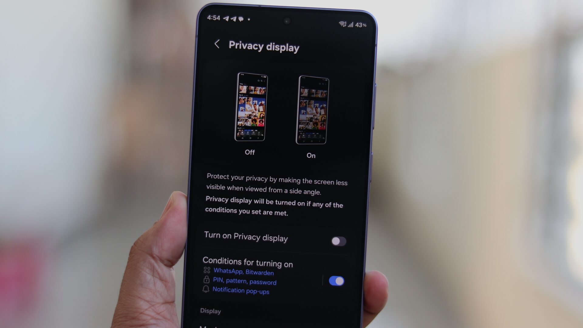 privacy display customization