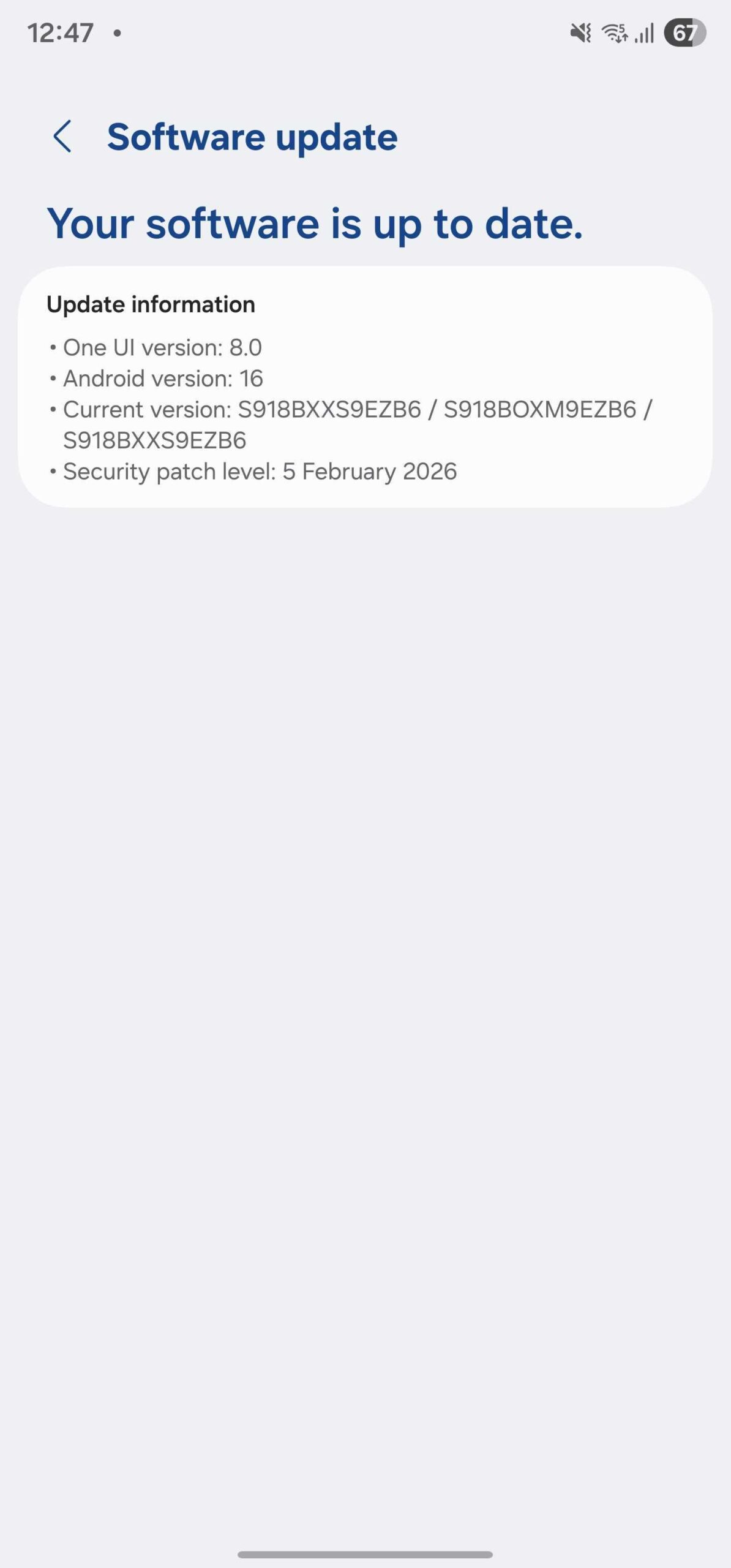 Screenshot showing the security patch level and update size