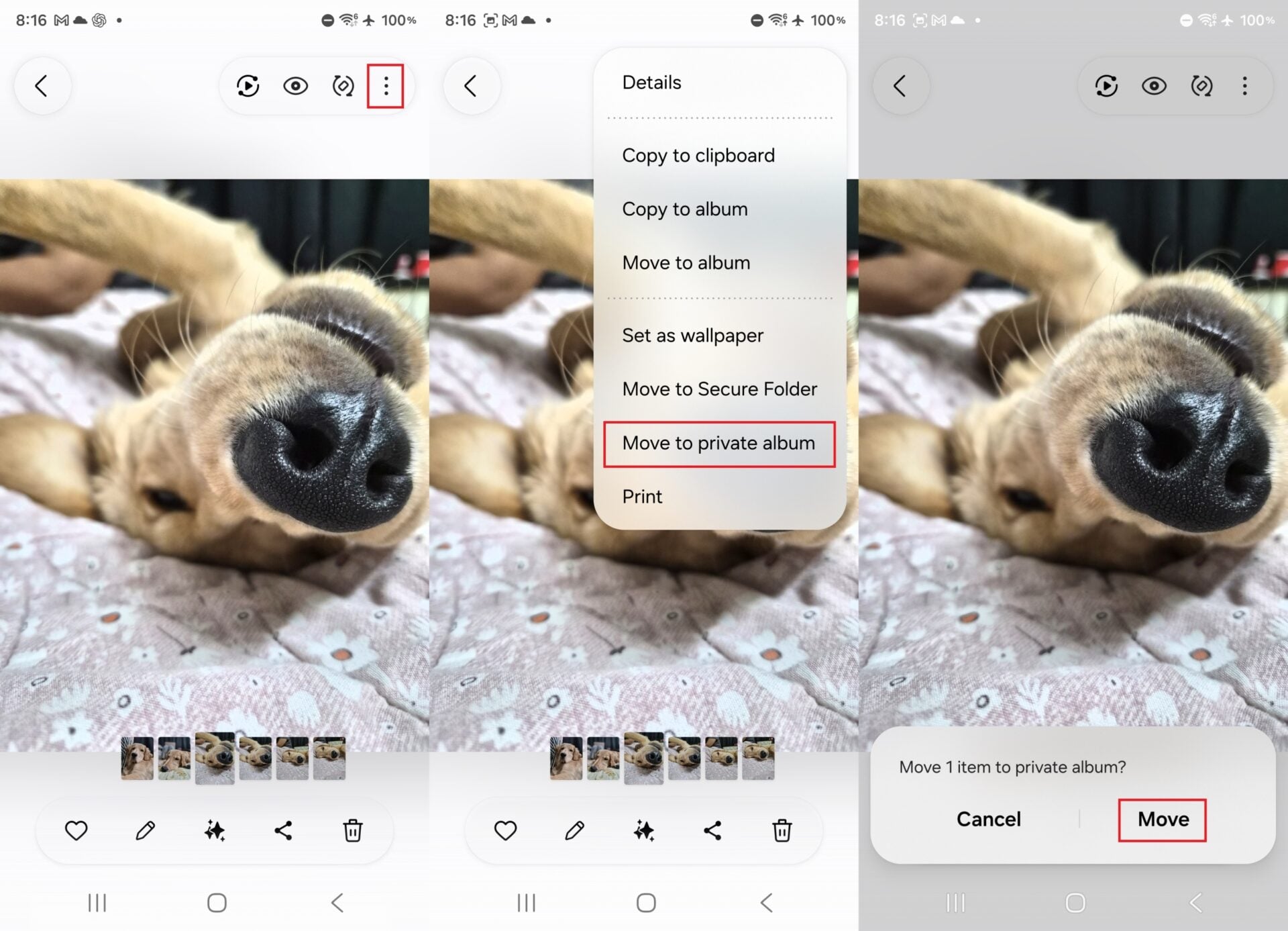 moving pictures and videos to private album in samsung gallery