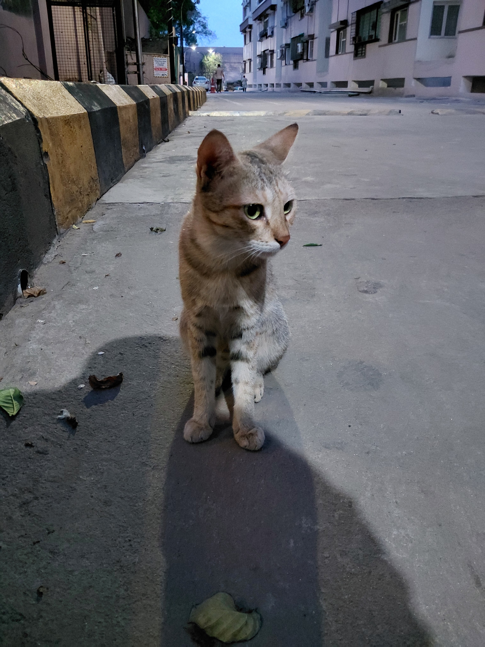 1x picture shot with a galaxy a27