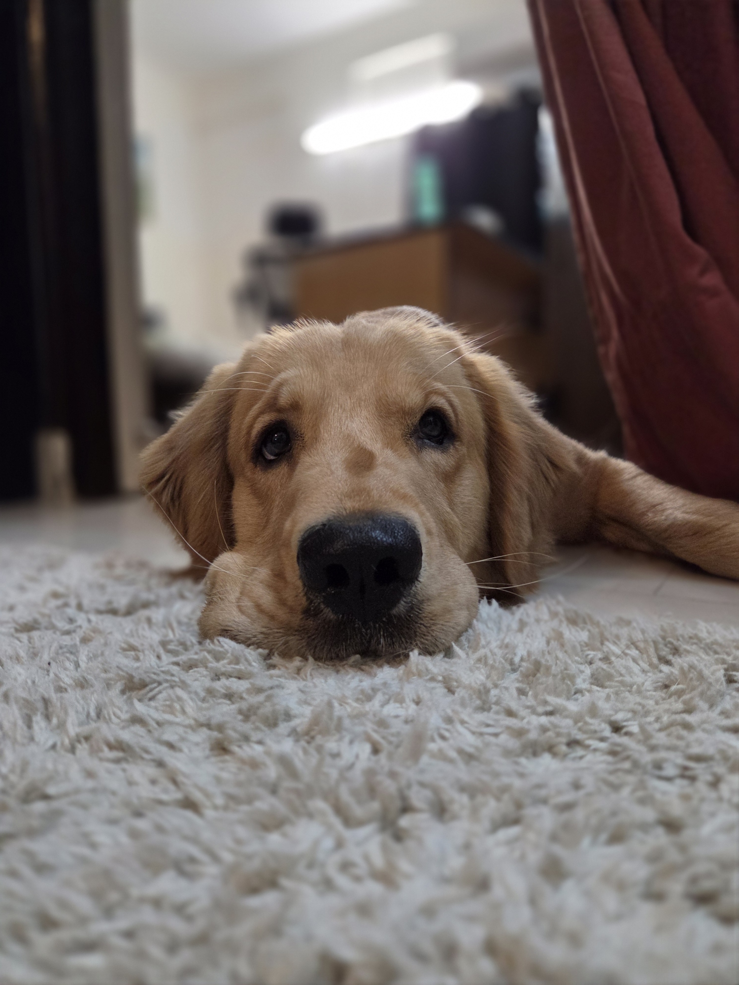 Portrait shot