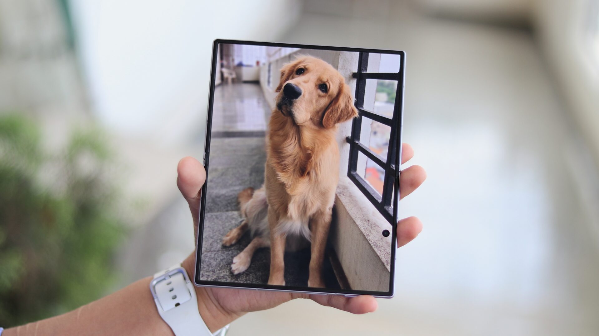 Photos on Galaxy Z Fold 8 foldable display