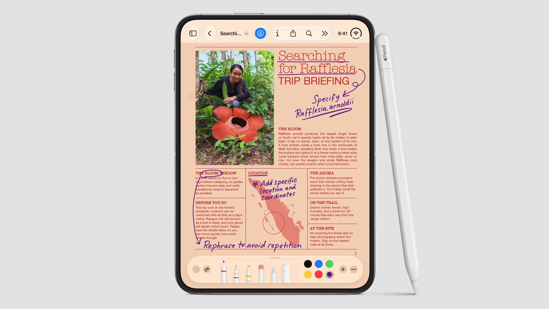 Apple iPhone Duo Apple Pencil