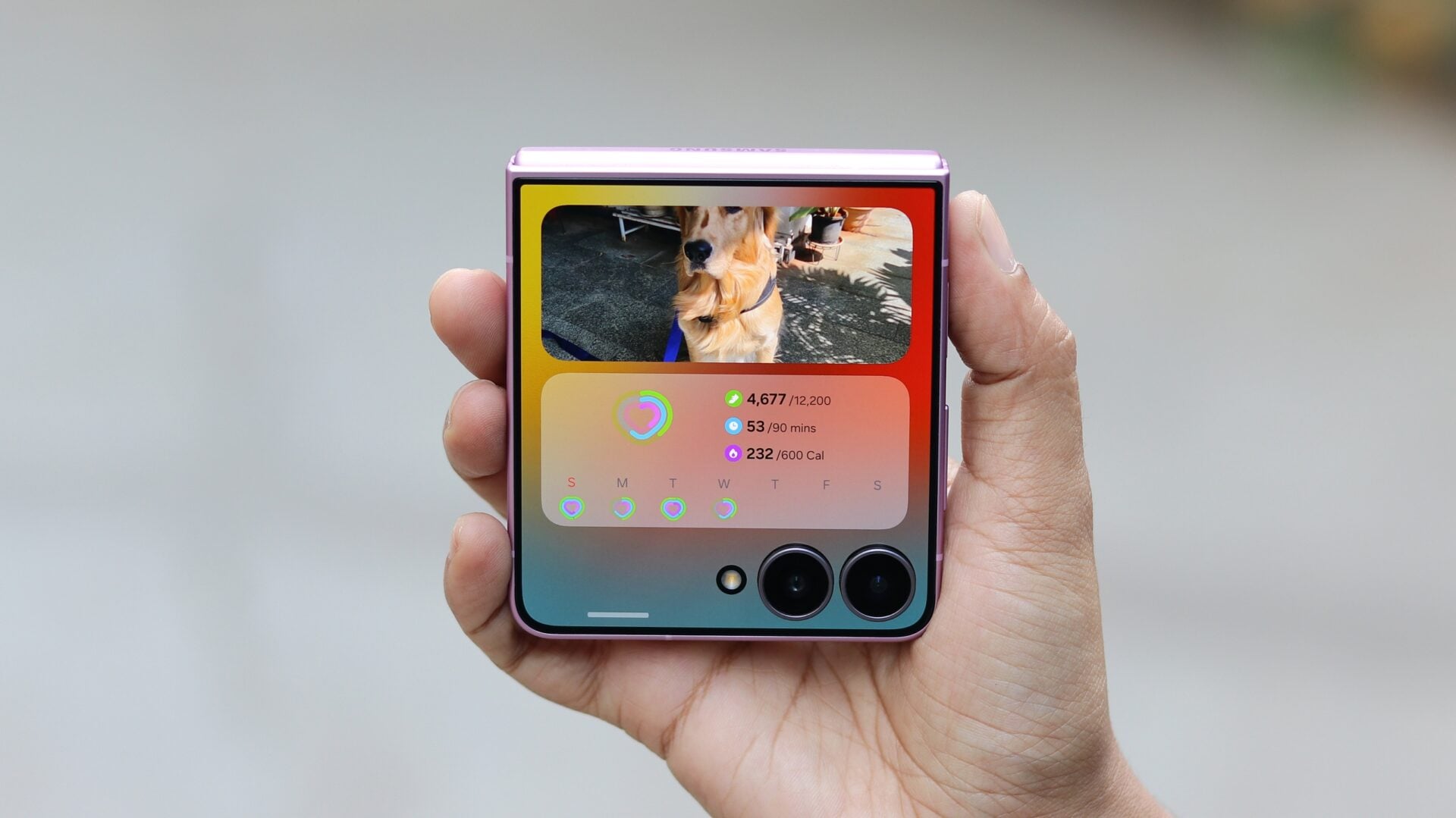 Samsung Galaxy Z Flip 8